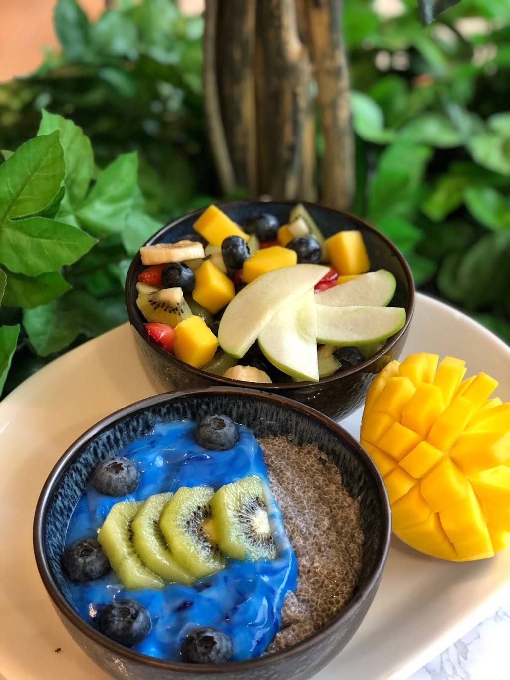 Revitalize Superfoods | restaurant | 1500 Main Street Suite #306 Second Floor, Springfield, MA 01103, USA | 4133631187 OR +1 413-363-1187