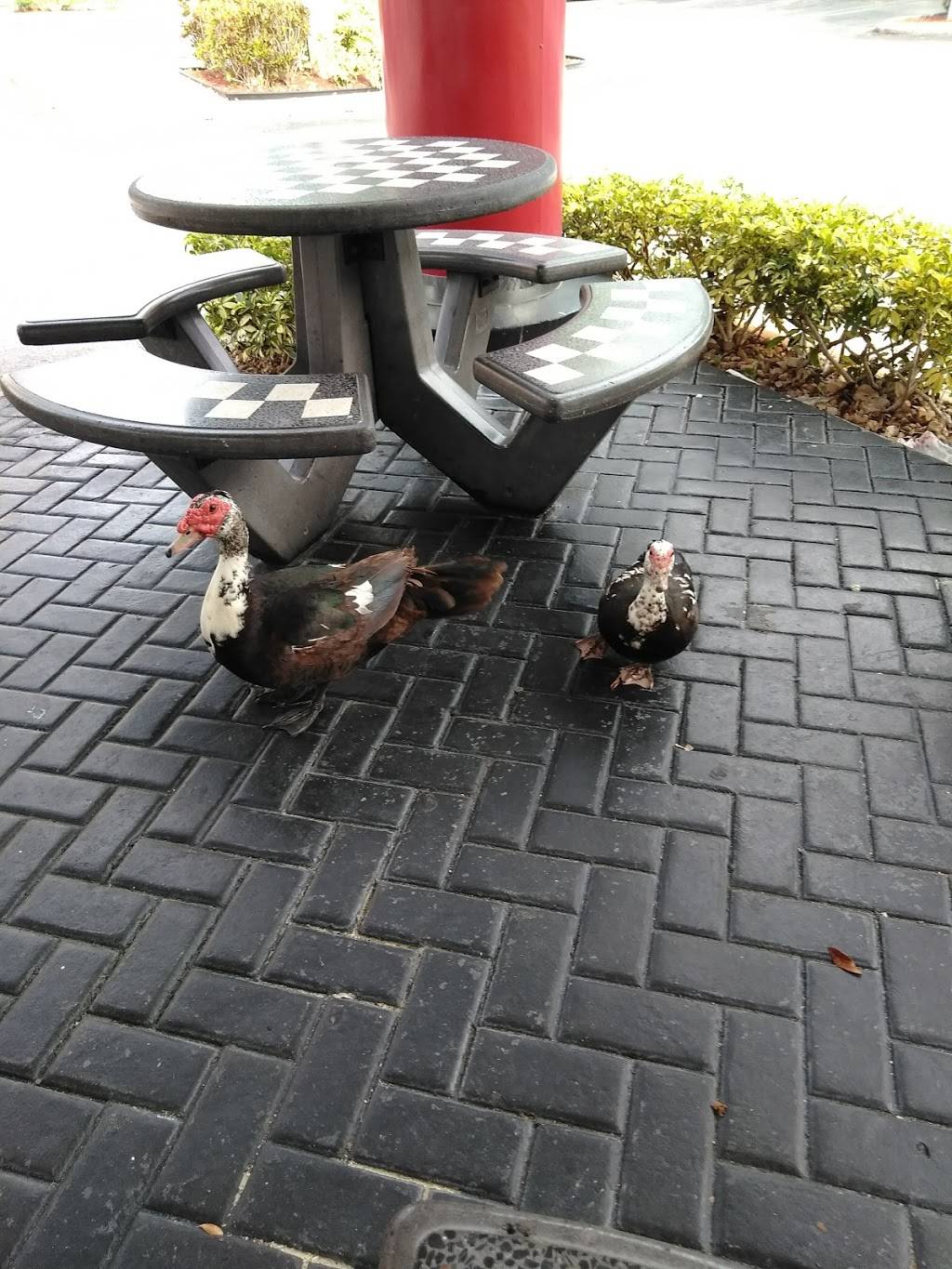 Checkers | restaurant | 8579 Pines Blvd, Hollywood, FL 33024, USA | 9544301759 OR +1 954-430-1759