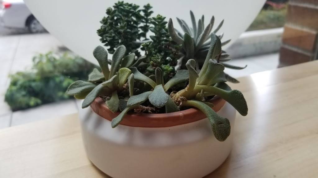 Blue Star Donuts | bakery | 7709 SW Capitol Hwy #111c, Portland, OR 97219, USA | 9712668664 OR +1 971-266-8664