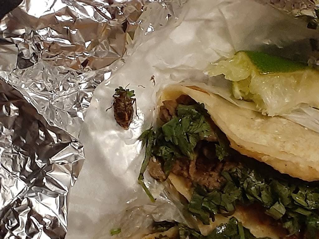 Taqueria Hernandez | restaurant | Kansas City, MO 64124, USA | 8162413324 OR +1 816-241-3324