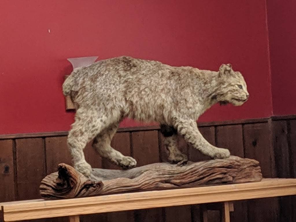 Silverbird Woodfired | restaurant | 133 E Elm St, Penn Yan, NY 14527, USA | 3155365892 OR +1 315-536-5892