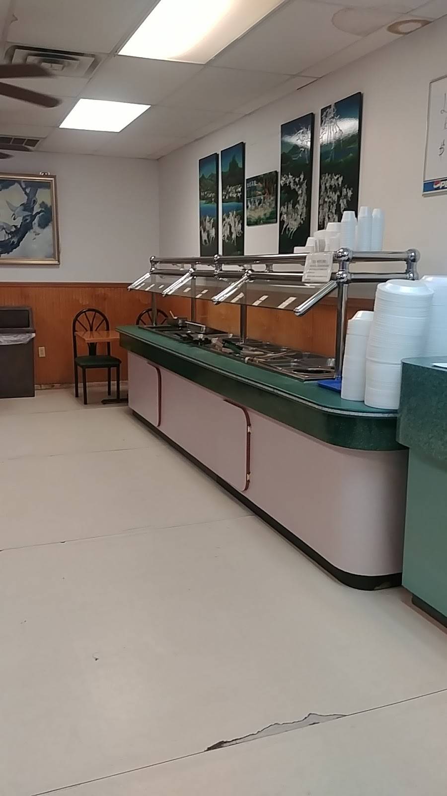 China Fun | restaurant | 536 US-71, Alma, AR 72921, USA | 4796328288 OR +1 479-632-8288