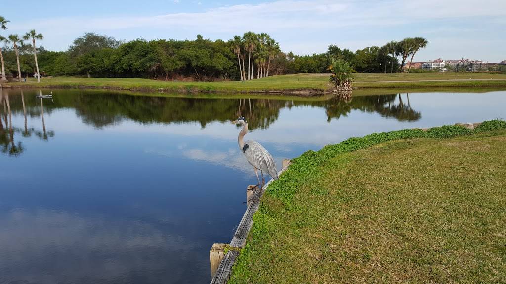Cove Cay Golf Club | restaurant | 2612 Cove Cay Dr, Clearwater, FL 33760, USA | 7275351406 OR +1 727-535-1406