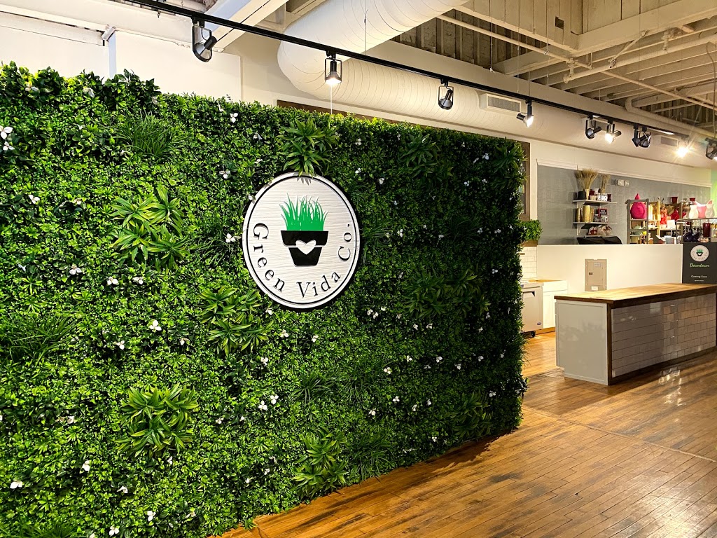 Green Vida Co. | restaurant | 325 Northampton St, Easton, PA 18042, USA | 4845415309 OR +1 484-541-5309