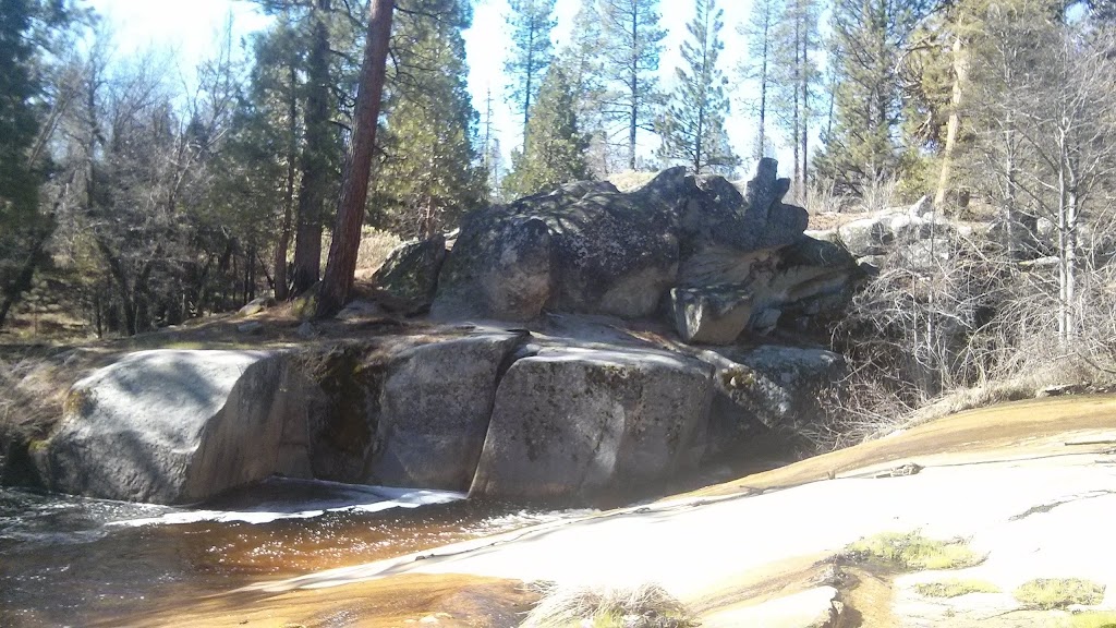 Nelsons Tavern | restaurant | 1700 Nelson Dr, Camp Nelson, CA 93208, USA | 5595428686 OR +1 559-542-8686