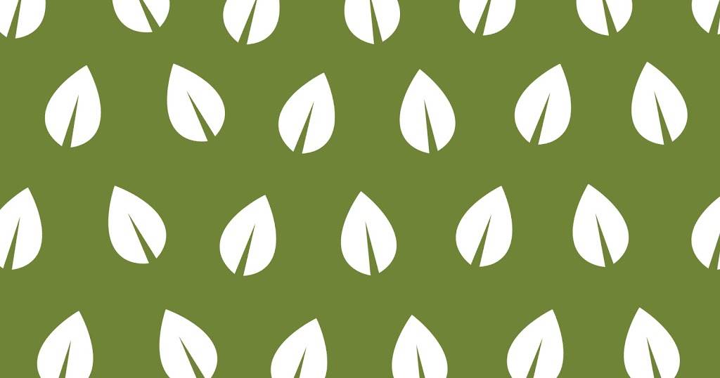 The Green Fork | restaurant | S76W17745 Janesville Rd, Muskego, WI 53150, USA | 2626824406 OR +1 262-682-4406