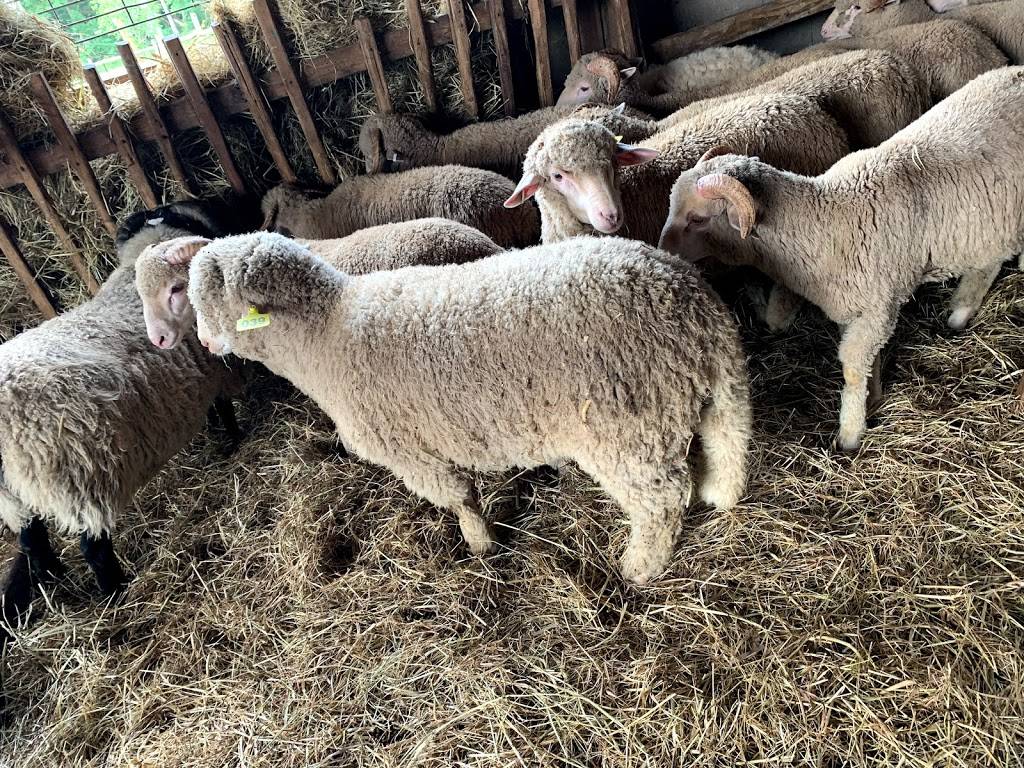 Dey Farm at Oliveira Acres | restaurant | 215 Dey Rd, Cranbury Township, NJ 08512, USA | 6093950232 OR +1 609-395-0232