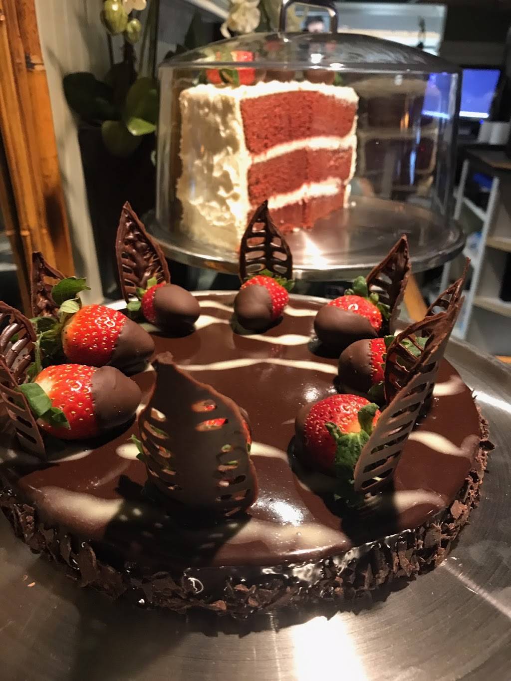 Tjs Italian Cafe | meal delivery | 1515 Gulf Blvd, Indian Rocks Beach, FL 33785, USA | 7275961515 OR +1 727-596-1515