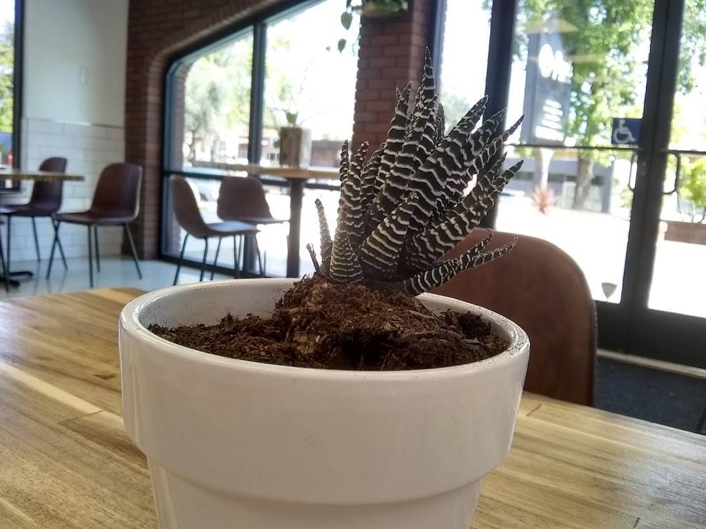 Roots Organic Juice Bar | restaurant | 1950 Pine St, Redding, CA 96001, USA | 5306050990 OR +1 530-605-0990