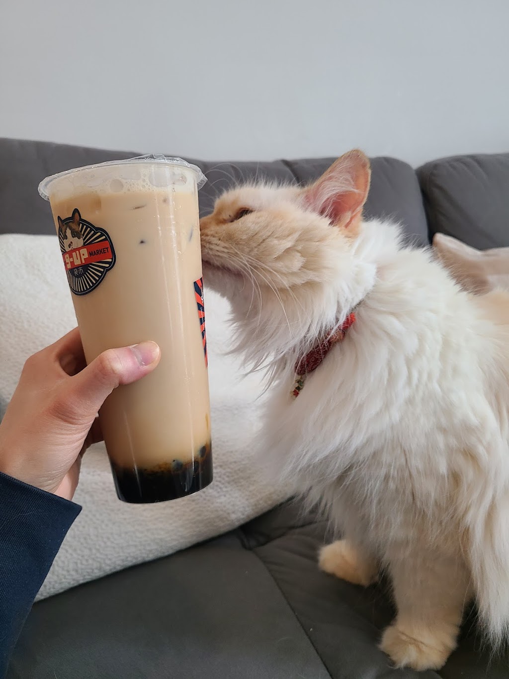 9-UP Night Market | restaurant | 3232 400 E suite 1100, Salt Lake City, UT 84115, USA | 8019982286 OR +1 801-998-2286