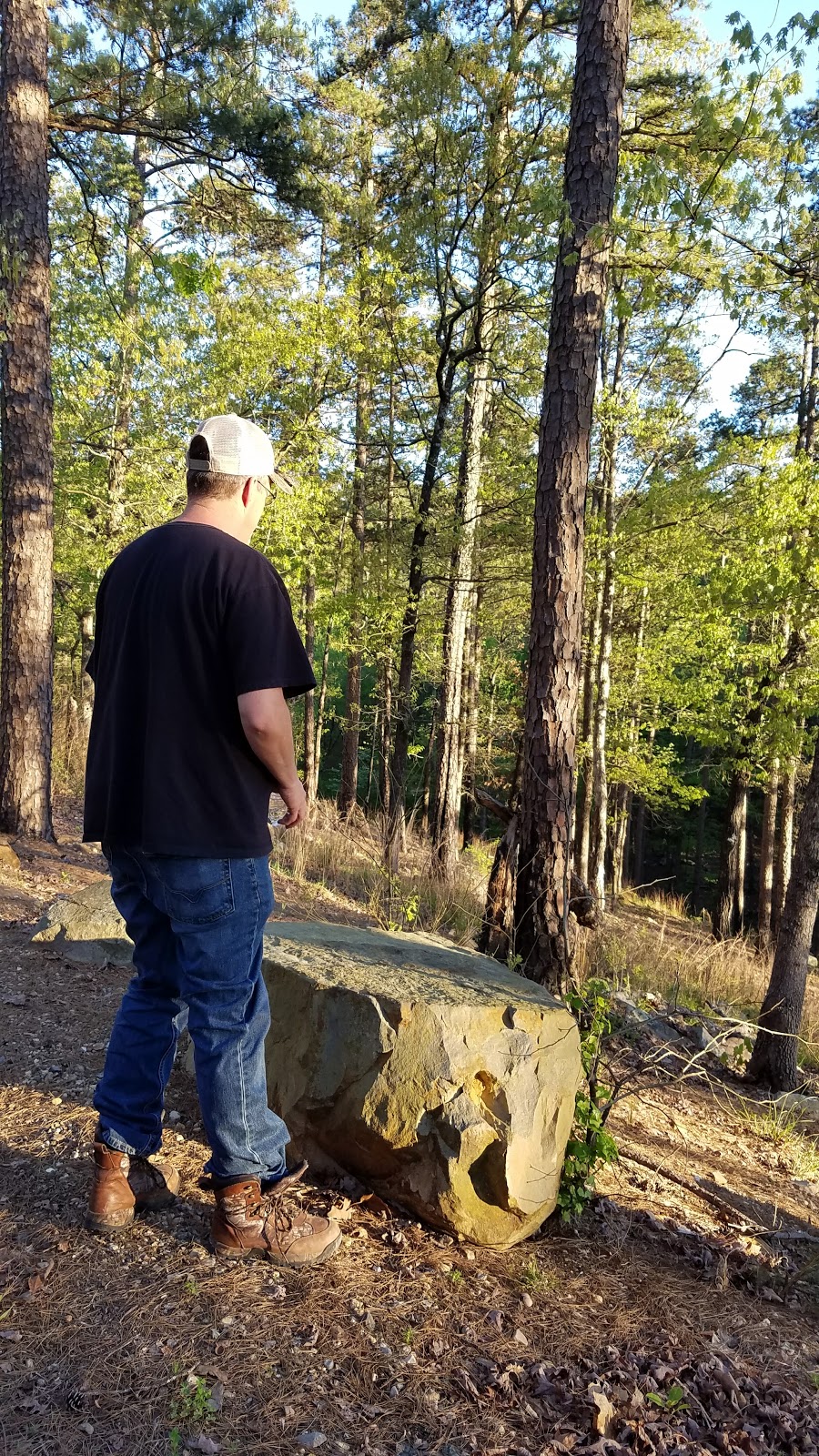 Swaha Lodge & Marina | meal takeaway | 205 Dynamite Hill Rd, Murfreesboro, AR 71958, USA | 8702852272 OR +1 870-285-2272