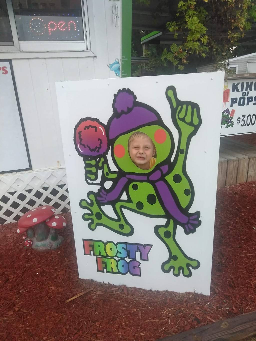 Frosty Frog | restaurant | 102 Industrial Blvd, Dublin, GA 31021, USA | 4782901631 OR +1 478-290-1631