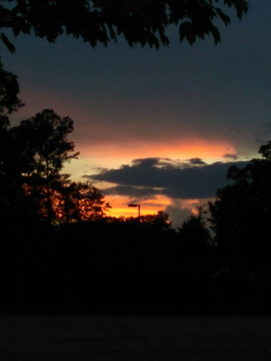 Wendys | restaurant | 2390 Whitesville Rd, LaGrange, GA 30240, USA | 7066686460 OR +1 706-668-6460