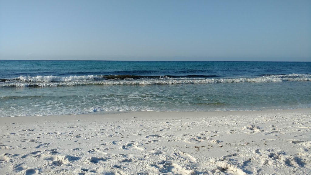 Bad Ass Coffee | cafe | 1708 Scenic Gulf Dr, Miramar Beach, FL 32550, USA | 8504247804 OR +1 850-424-7804