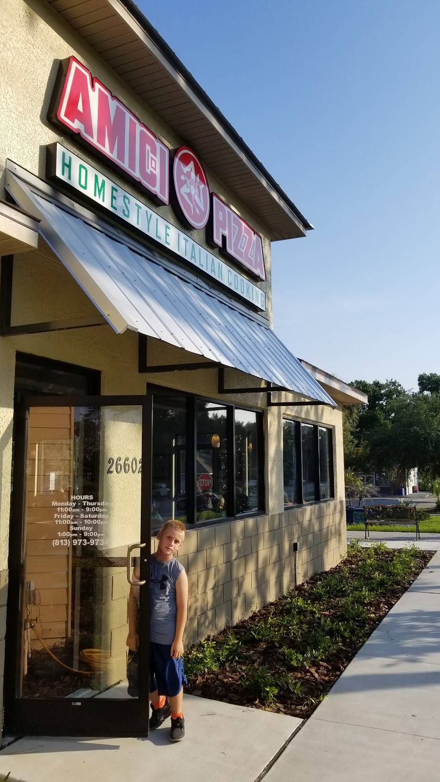 Amici Pizza | restaurant | 26602 Wesley Chapel Blvd, Lutz, FL 33559, USA | 8139739734 OR +1 813-973-9734