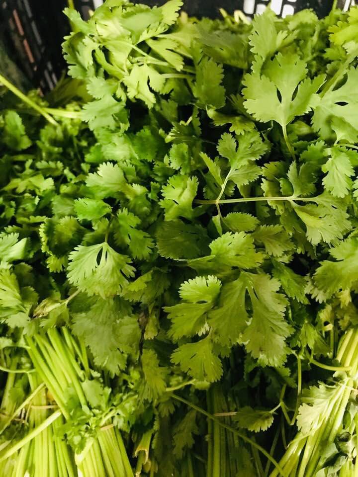 Westwood Asian Bazaar | restaurant | 2165 Noblestown Rd, Pittsburgh, PA 15205, USA | 4124581972 OR +1 412-458-1972