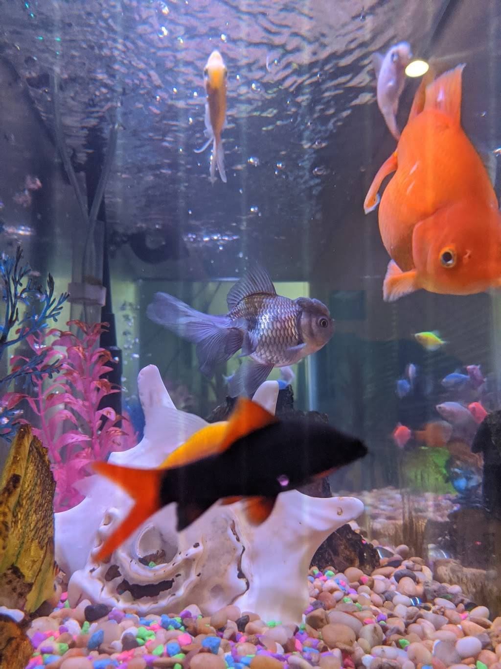 Thai Flavor Restaurant | restaurant | 1014 S Peoria St, Aurora, CO 80012, USA | 7208597648 OR +1 720-859-7648