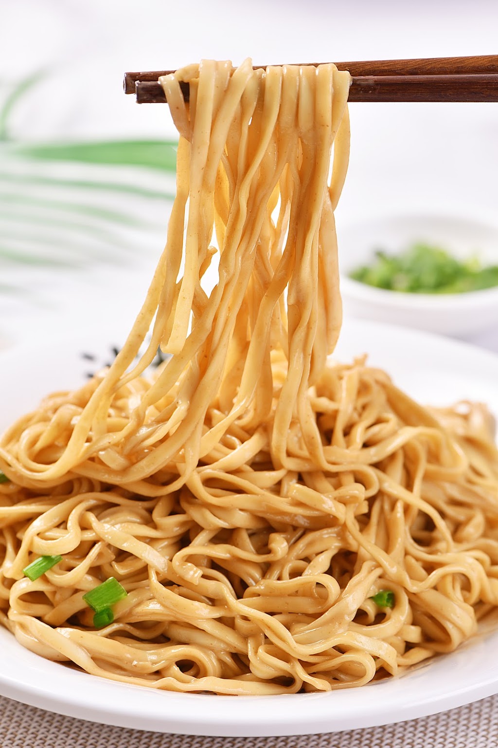 沙县小吃 ShaXian Delicacies | restaurant | 6024 7th Ave, Brooklyn, NY 11220, USA | 9293970030 OR +1 929-397-0030