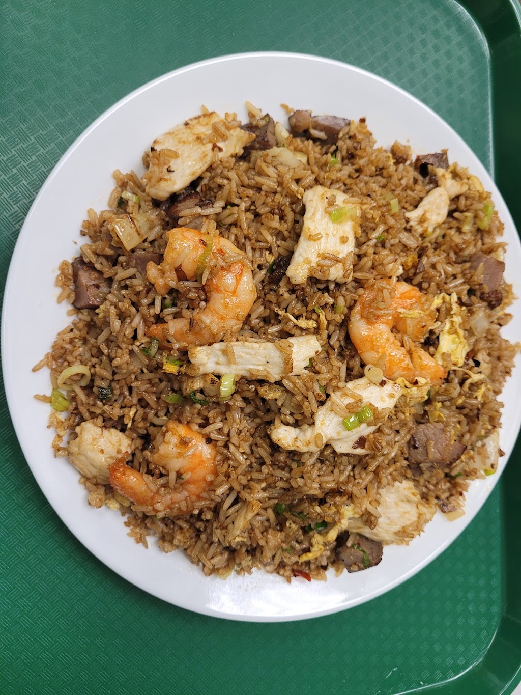 Orient Express Chinese Restaurant | restaurant | 3358 Fountain View Dr, Houston, TX 77057, USA | 3463194769 OR +1 346-319-4769