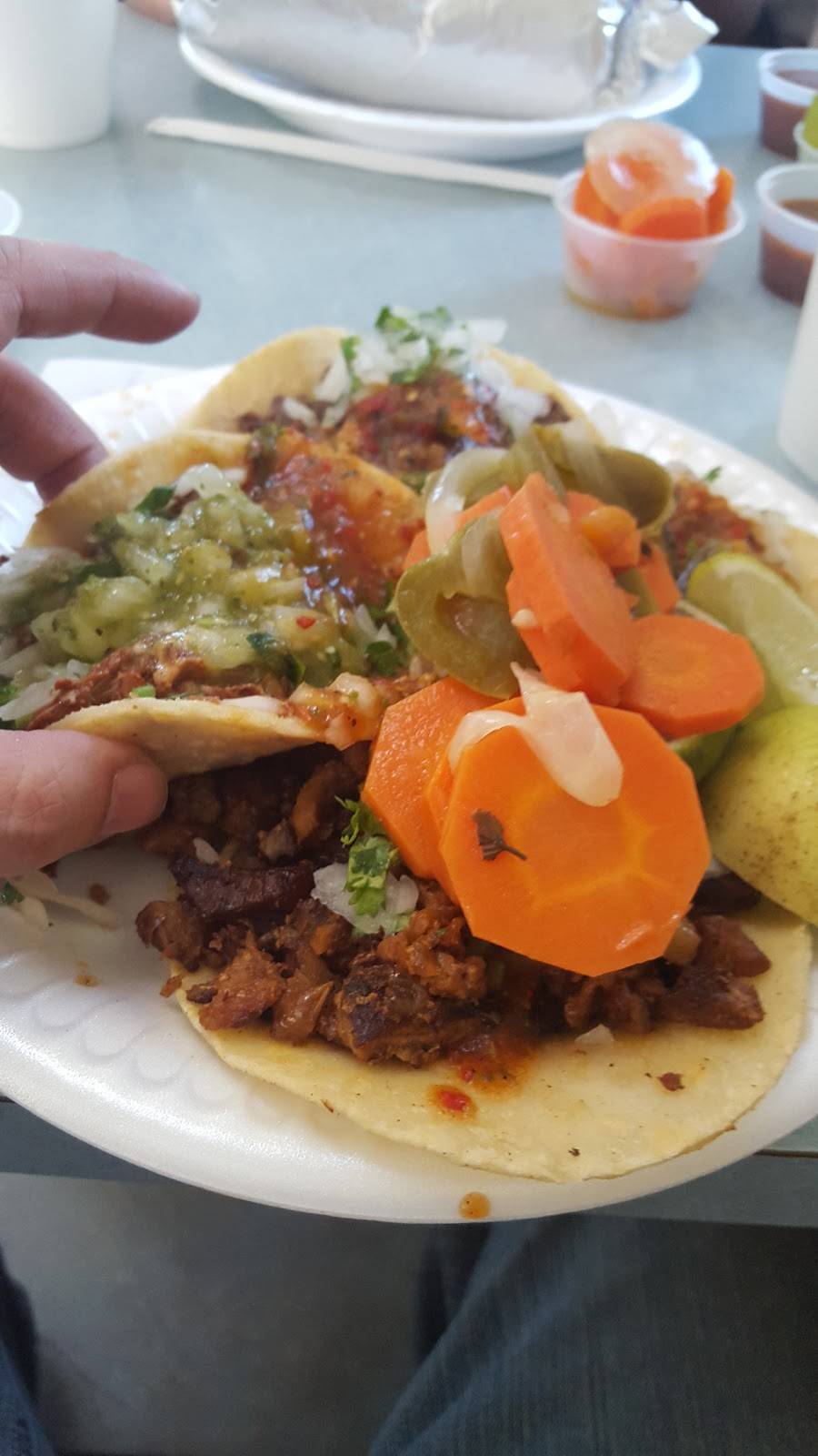 Taqueria Tapatia | restaurant | 202 S Bristol St, Santa Ana, CA 92703, USA | 7149729115 OR +1 714-972-9115