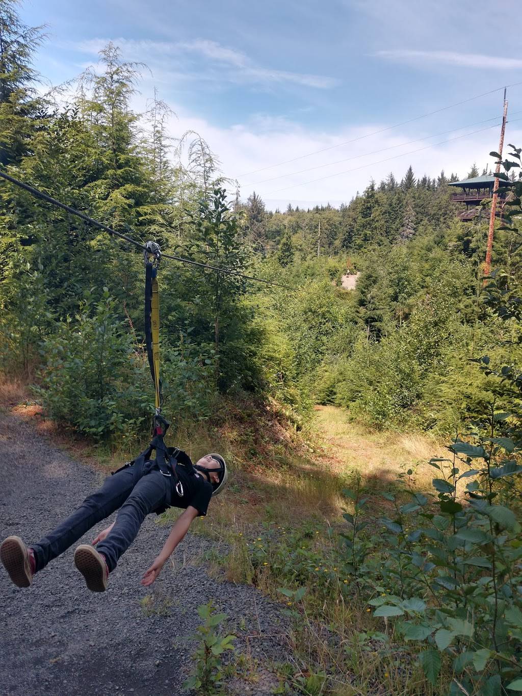 High Life Adventures Zip Line Tours | restaurant | 92111 High Life Road, Warrenton, OR 97146, USA | 5038619875 OR +1 503-861-9875