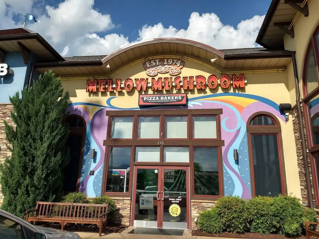 Mellow Mushroom | meal takeaway | 2485 Parkway, Pigeon Forge, TN 37863, USA | 8652862229 OR +1 865-286-2229
