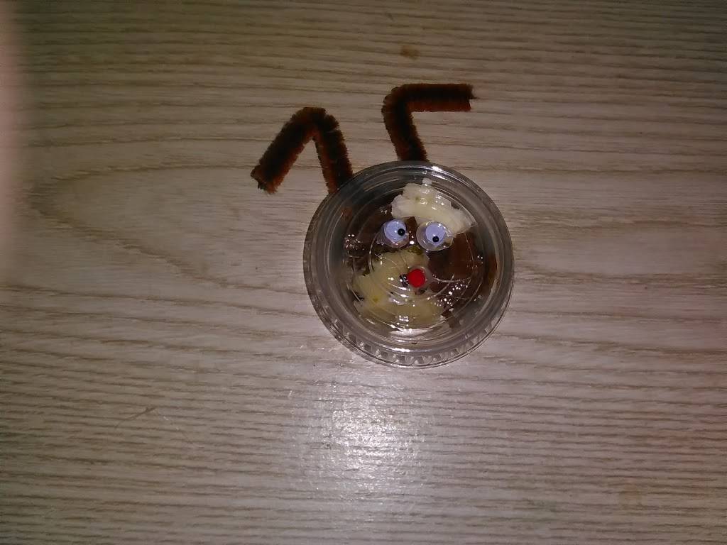 Round Table Pizza | meal delivery | 1776 N Broadway, Walnut Creek, CA 94596, USA | 9259457878 OR +1 925-945-7878