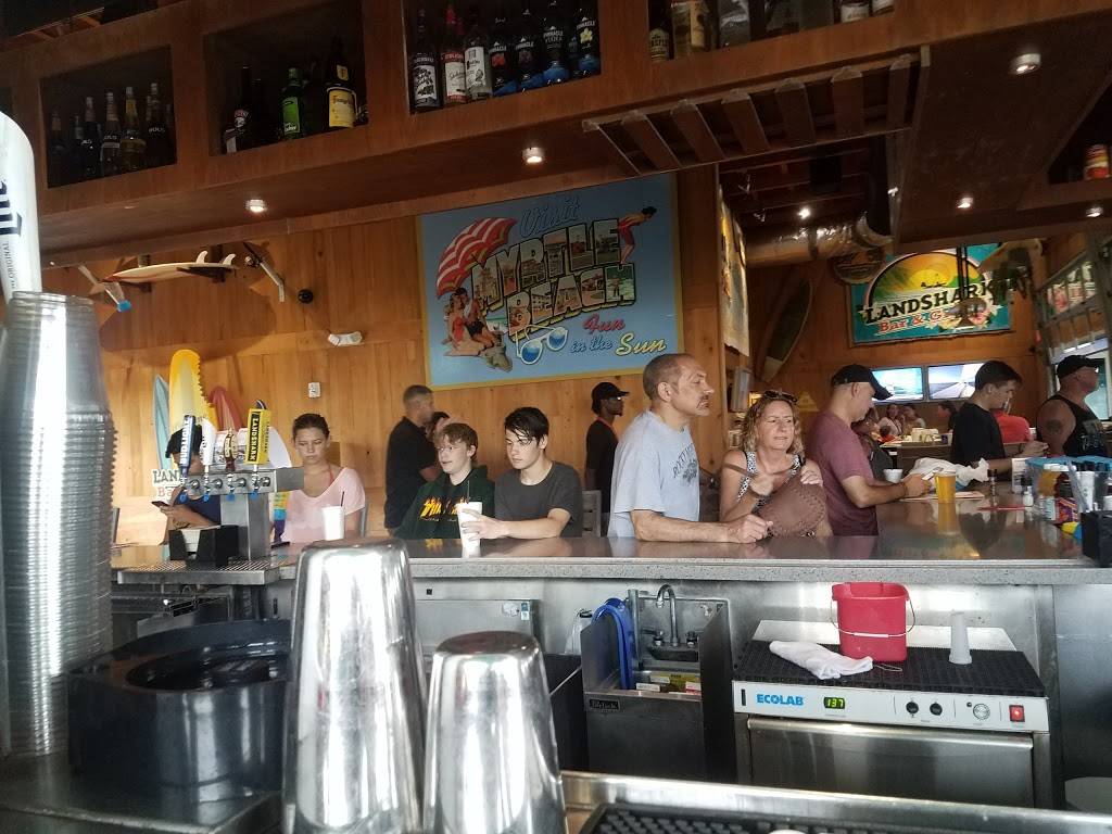 LandShark Bar & Grill Myrtle Beach | restaurant | 1110 Ocean Blvd, Myrtle Beach, SC 29577, USA | 8437880001 OR +1 843-788-0001