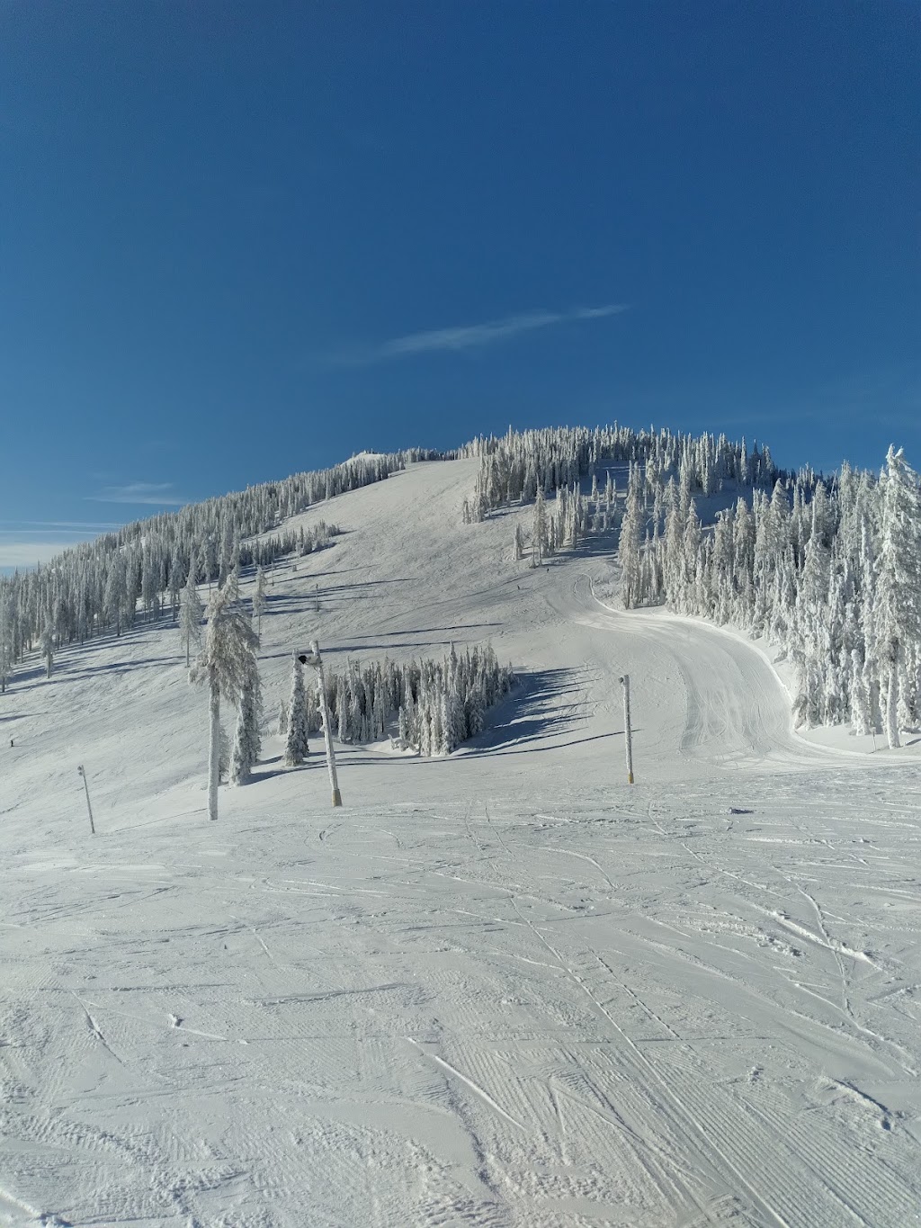 Mt. Spokane Ski & Snowboard Park | restaurant | 29500 N Mt Spokane Park Dr, Mead, WA 99021, USA | 5092382220 OR +1 509-238-2220