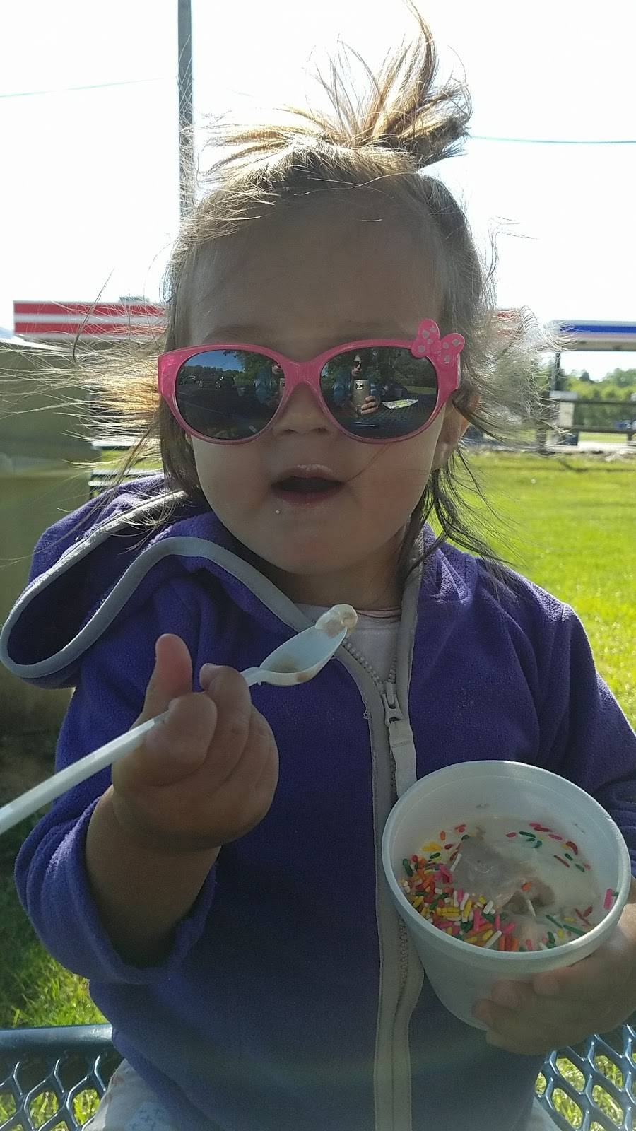 Chitter Chatter Ice Cream | restaurant | 8144 Airport Hwy, Holland, OH 43528, USA | 4198657223 OR +1 419-865-7223