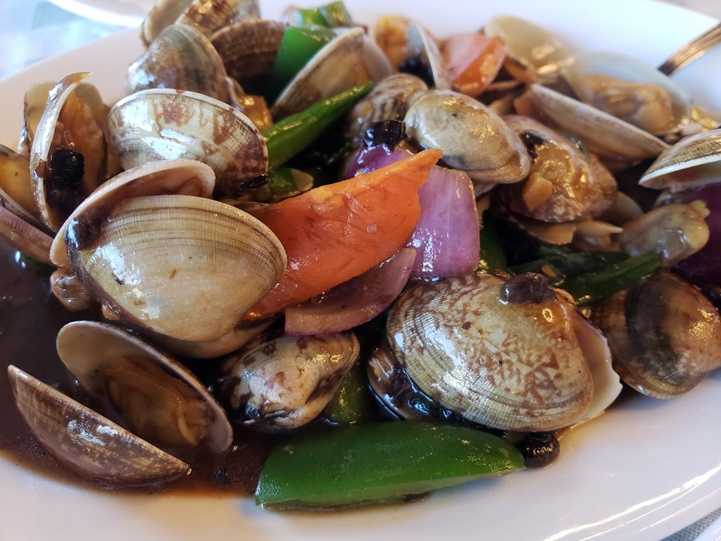 Neo Szechuan | restaurant | 7200 Montgomery Blvd NE F-2, Albuquerque, NM 87109, USA | 5058810165 OR +1 505-881-0165