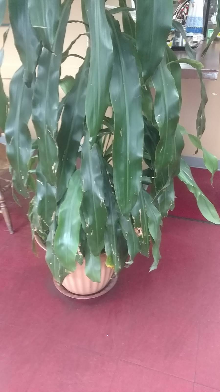 South Main Pizza | restaurant | 359 Main St, Farmington, NH 03835, USA | 6037559911 OR +1 603-755-9911