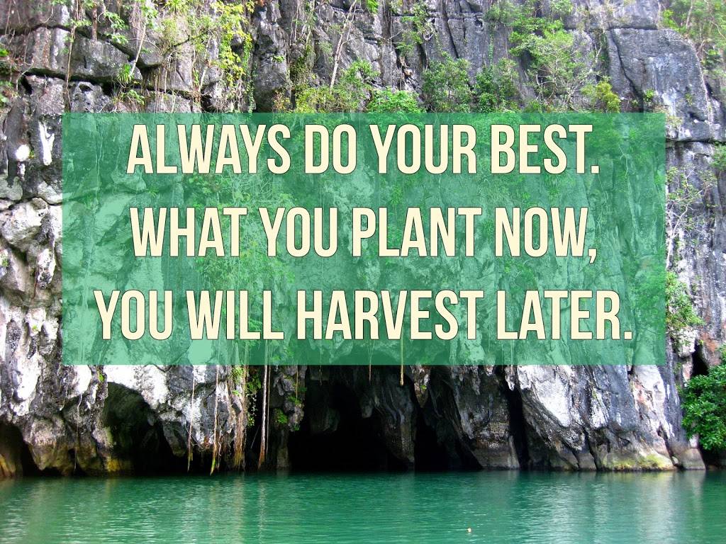 Tipp City RoadDog | restaurant | 1200 W Main St, Tipp City, OH 45371, USA | 9375067635 OR +1 937-506-7635