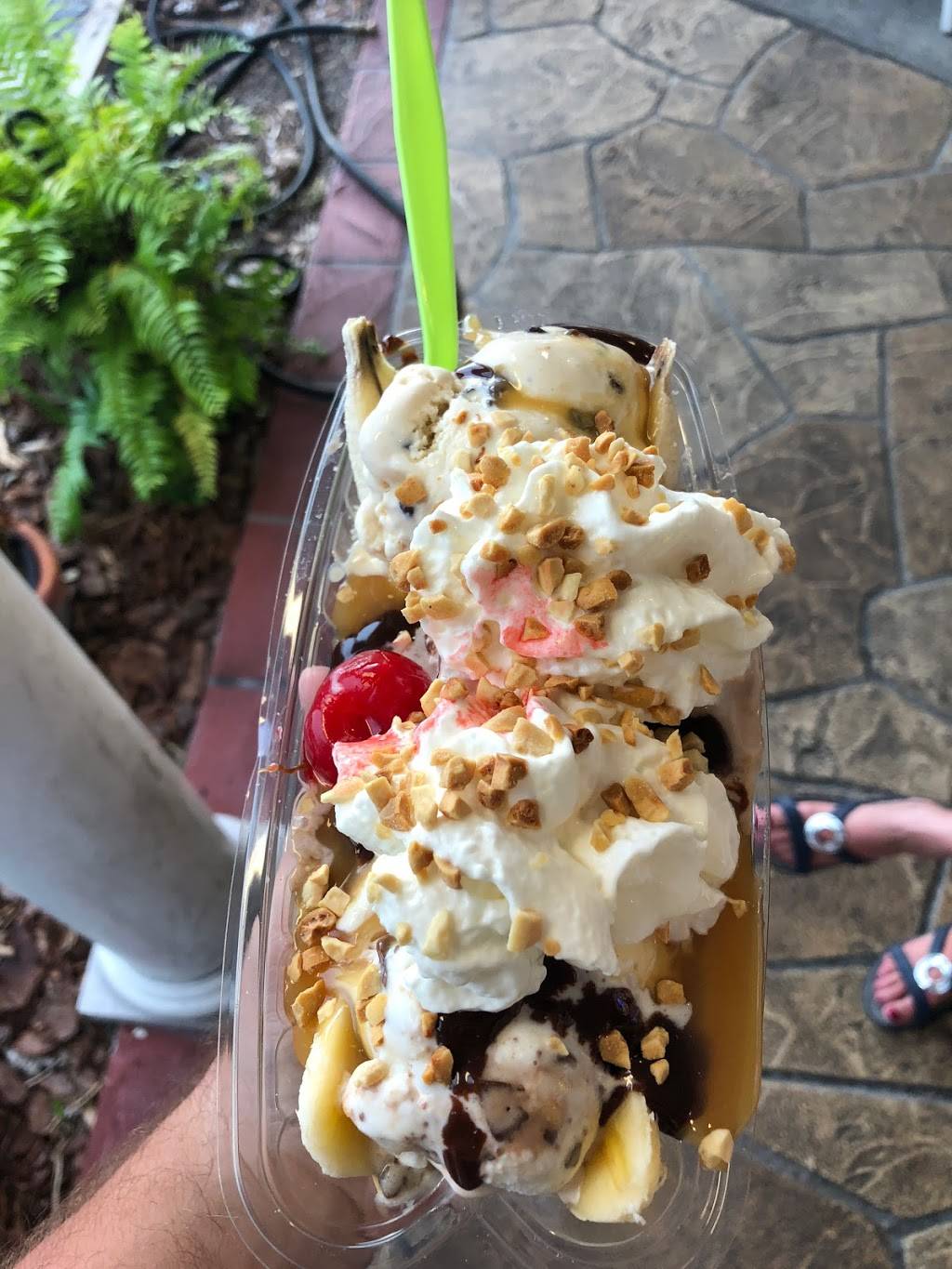 Larrys Ice Cream & Gelatos | bakery | 6595 Gulf Blvd, St Pete Beach, FL 33706, USA | 7273604259 OR +1 727-360-4259