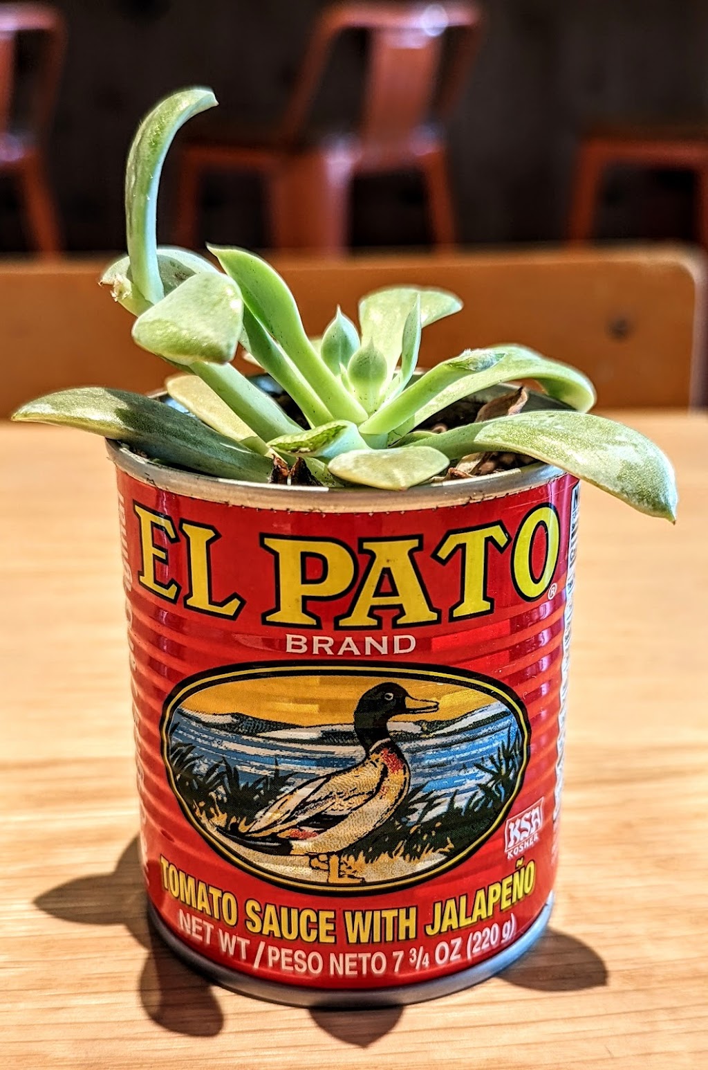 Comal Next Door | restaurant | 550 Grand Ave, Oakland, CA 94610, USA | 5104226625 OR +1 510-422-6625