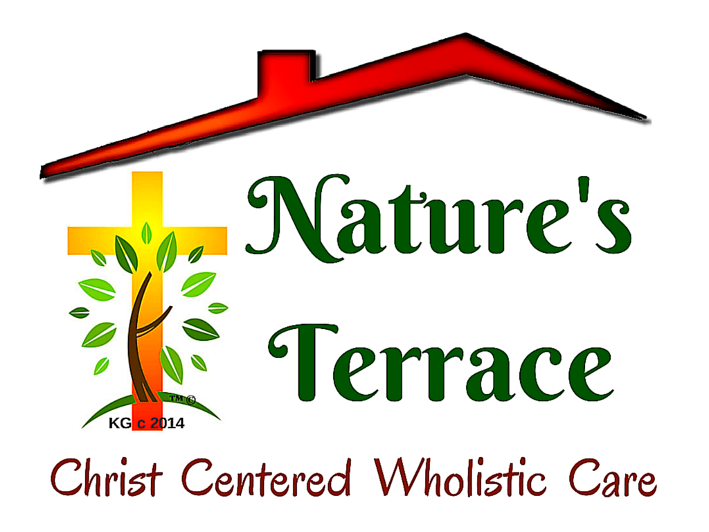 Natures Terrace | cafe | 101 E Main St Suite C107, Syracuse, IN 46567, USA | 5743064067 OR +1 574-306-4067