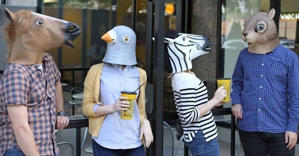 Which Wich Superior Sandwiches | restaurant | 1201 Barbara Jordan Blvd #1210, Austin, TX 78723, USA | 5124829424 OR +1 512-482-9424