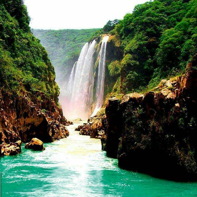 Tacos El Meño (Mariscos) | restaurant | Av. Ricardo Flores Magón 105, Francisco Villa, 21452 Tecate, B.C., Mexico | 016651114745 OR +52 665 111 4745