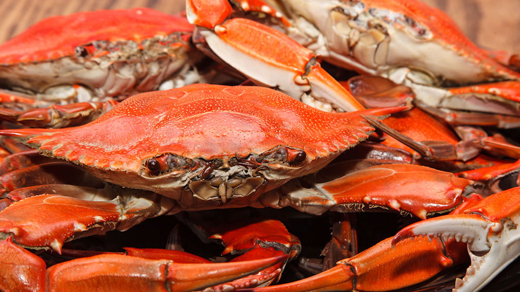 Golden Eye Seafood | restaurant | 17640 Clarke Rd, Tall Timbers, MD 20690, USA | 3019942274 OR +1 301-994-2274