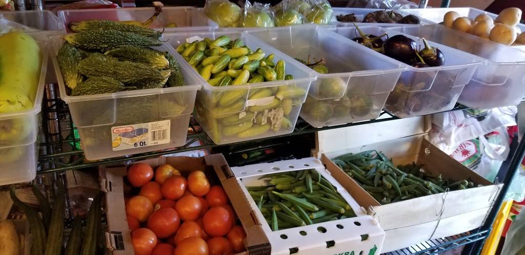 Southern Spices | meal takeaway | 2959 Artesian Rd, Naperville, IL 60564, USA | 6305799990 OR +1 630-579-9990