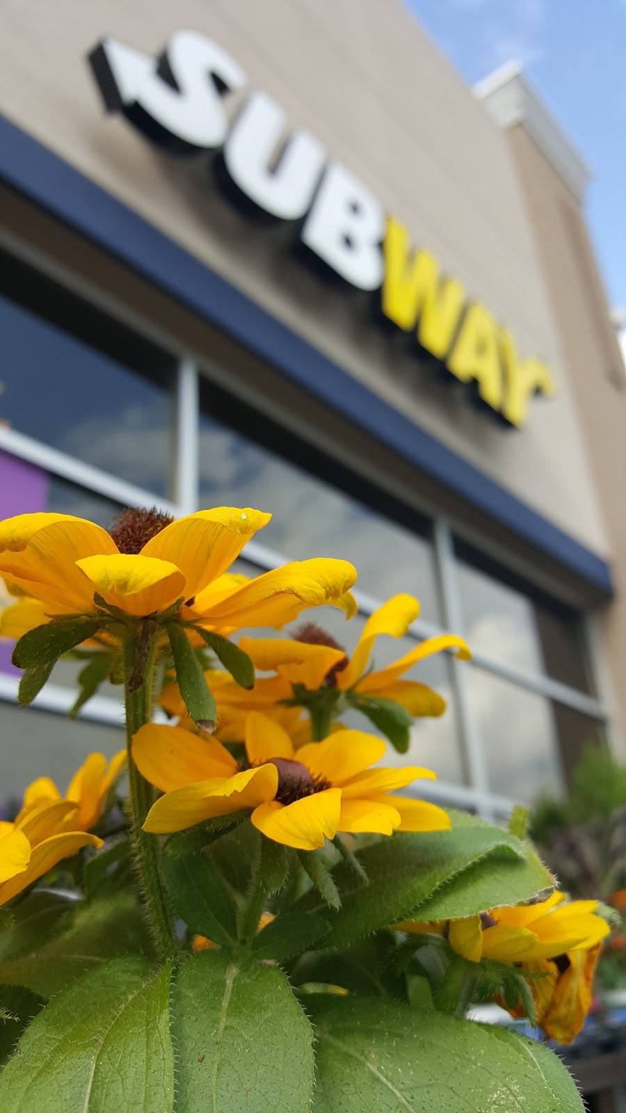 Subway | meal takeaway | 7959 McLeod Rd, Niagara Falls, ON L2H 0G5, Canada | 9053540009 OR +1 905-354-0009