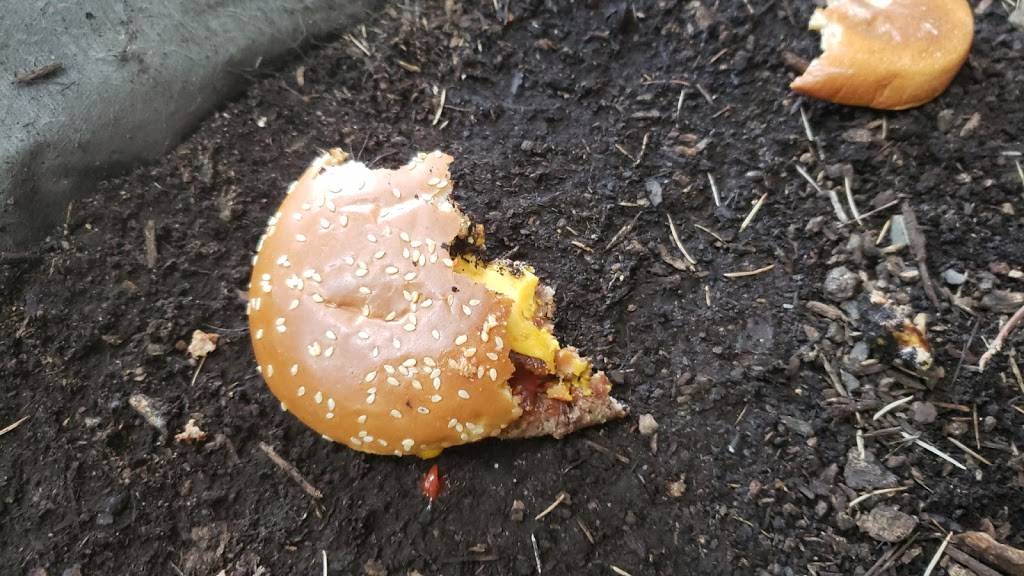 Little Caesars Pizza | meal takeaway | 842 Broad St, Summersville, WV 26651, USA | 3048725333 OR +1 304-872-5333