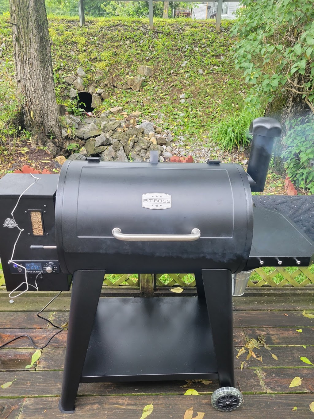 The Smokin Dragon BBQ | restaurant | 206 Cool Spring Rd, Strasburg, VA 22657, USA | 5403856329 OR +1 540-385-6329