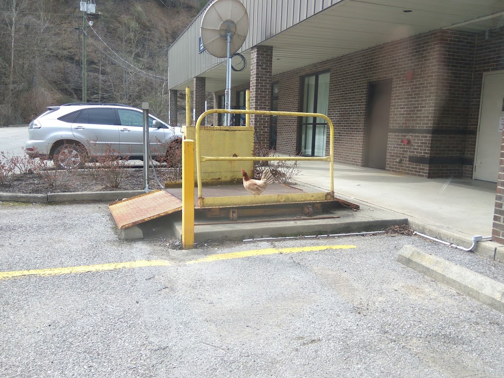 Hardees | restaurant | 25 Fire House Ln, Hyden, KY 41749, USA | 6066725142 OR +1 606-672-5142