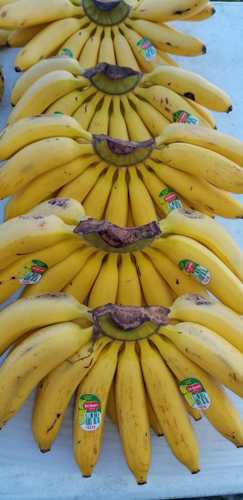 MI POBLANITA #2 | restaurant | 922 E Lincoln Ave, Goshen, IN 46528, USA | 7739992717 OR +1 773-999-2717