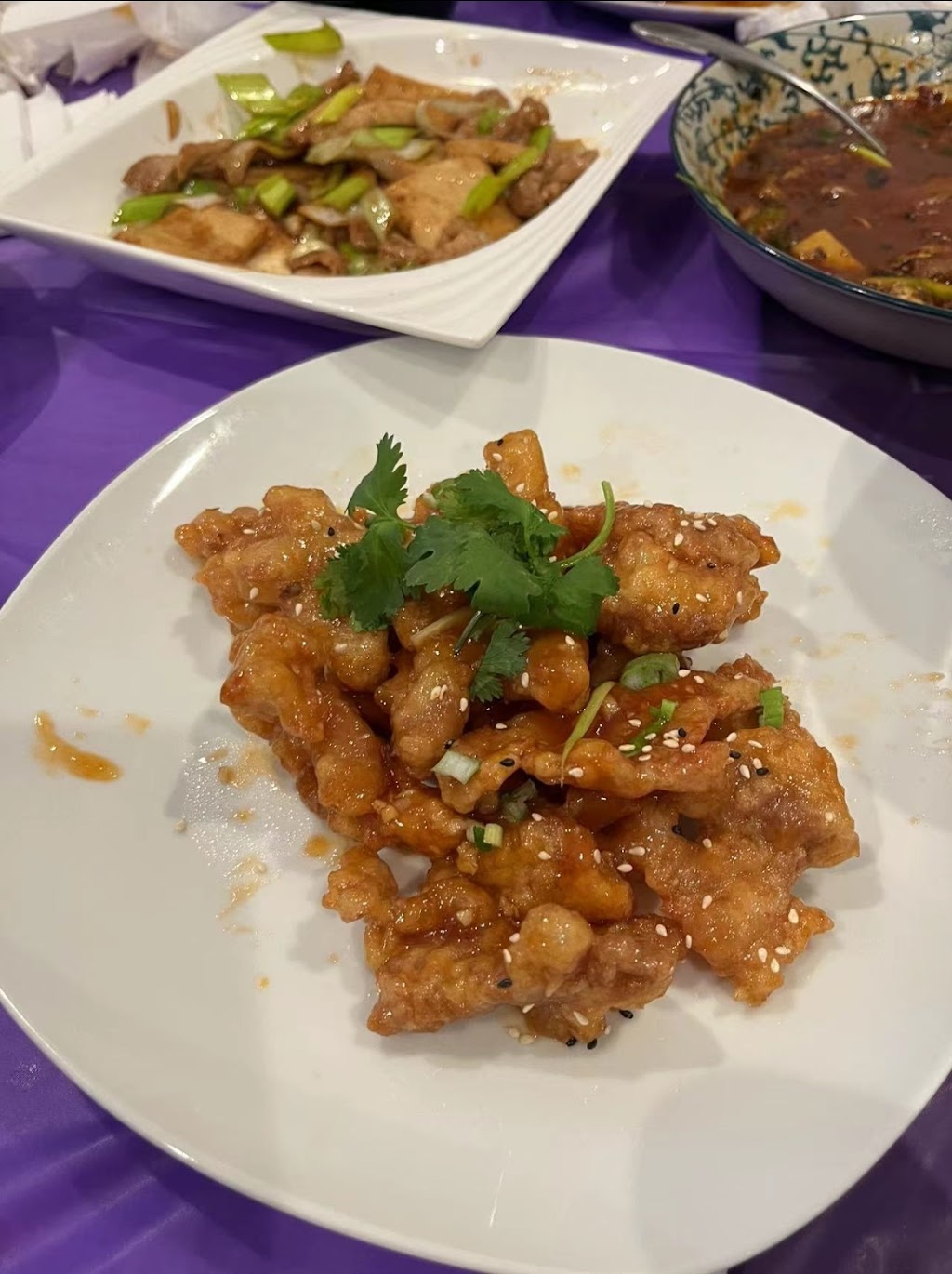 Shuxiang YUAN 蜀湘园 | restaurant | 504 N Alafaya Trail #113, Orlando, FL 32828, USA | 3217320905 OR +1 321-732-0905