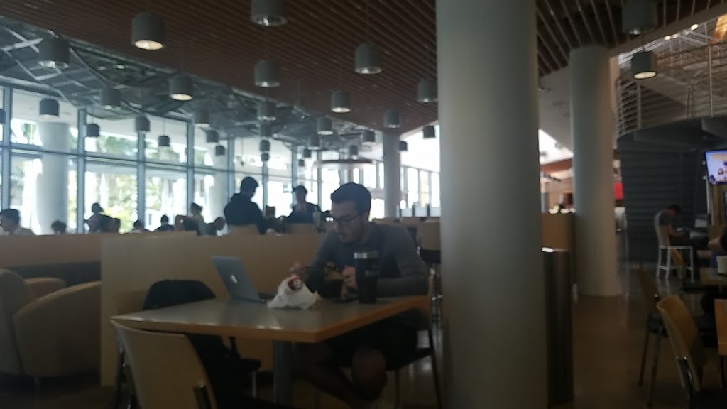 Panda Express | meal takeaway | 11200 SW 8th St, Miami, FL 33174, USA | 3053487774 OR +1 305-348-7774