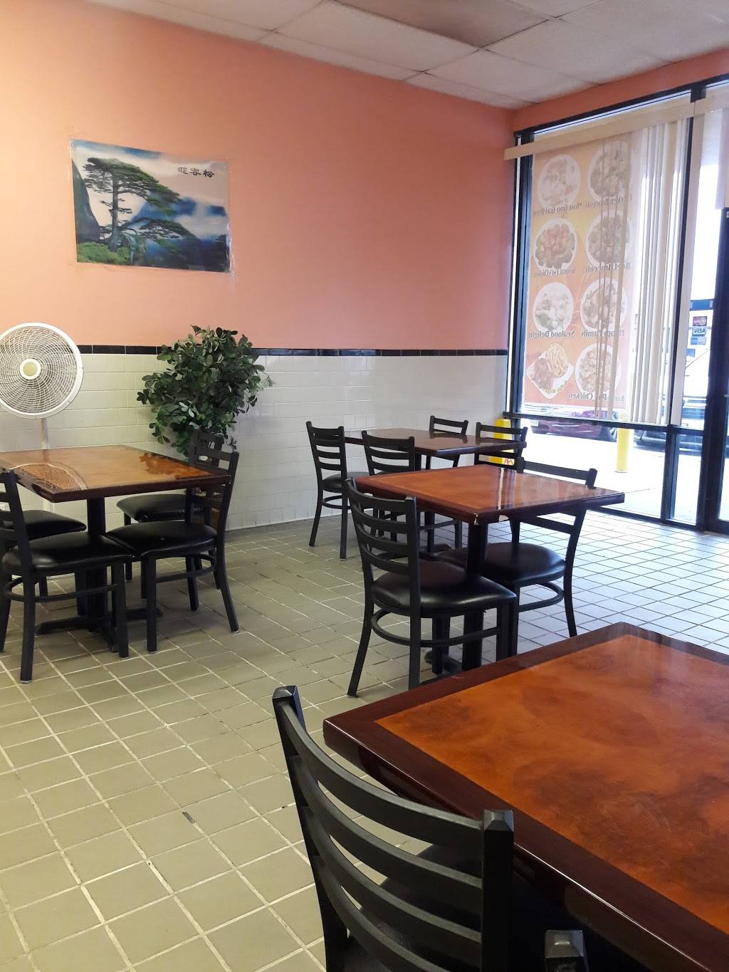 China Wok | restaurant | 10121 Lake June Rd #110, Dallas, TX 75217, USA | 9722881135 OR +1 972-288-1135