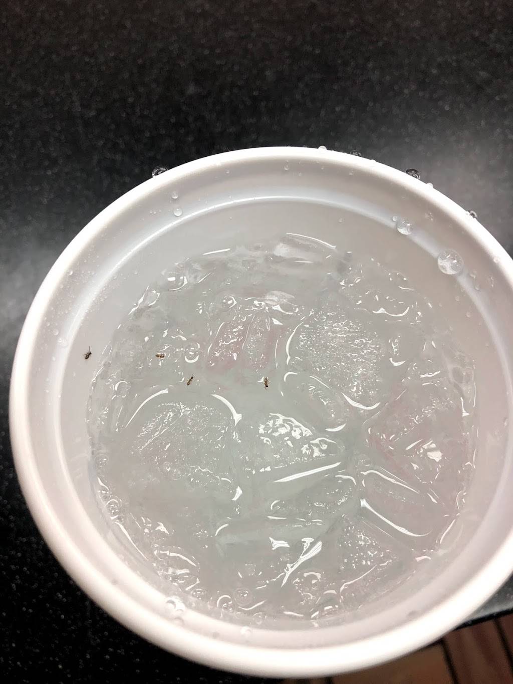 Long John Silvers Downers Grove | restaurant | 1450 75th St, Downers Grove, IL 60516, USA | 6309600595 OR +1 630-960-0595