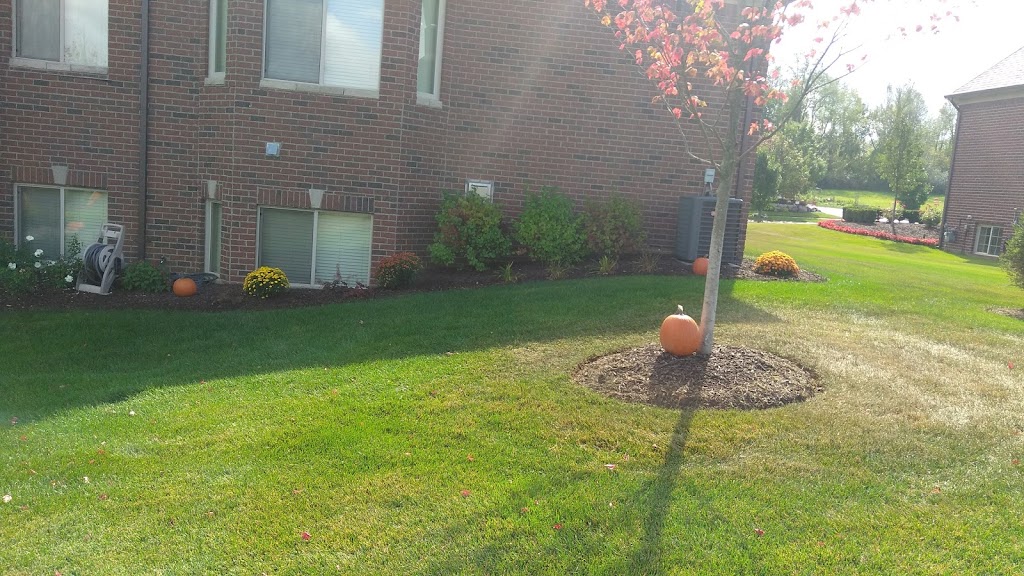 The Orchards Golf Club | restaurant | 62900 Campground Rd, Washington, MI 48094, USA | 5867867200 OR +1 586-786-7200